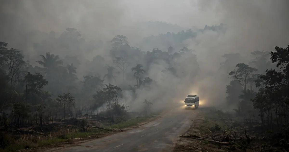 Kabut Asap Tebal Selimuti Merauke, Jarak Pandang Tinggal 5 Meter dan Perjalanan Molor hingga 10 Jam